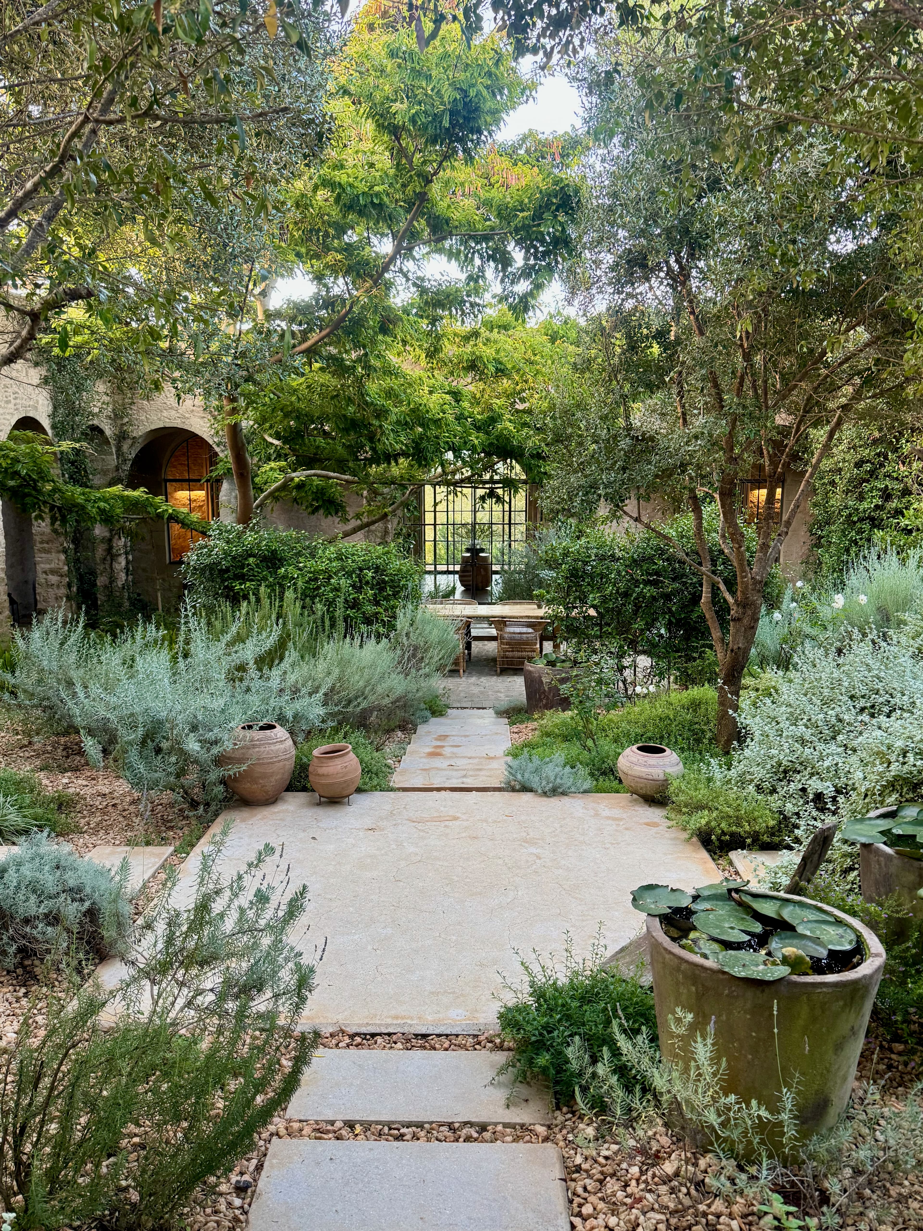 afternoon tea at arijiju